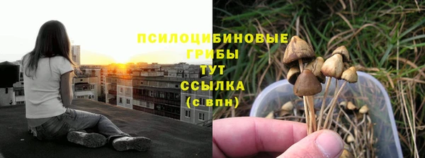 стаф Краснотурьинск