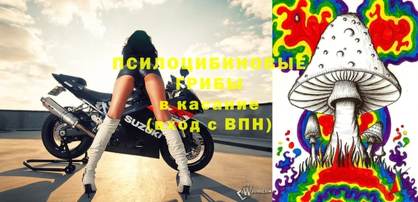 гидропоника Краснослободск