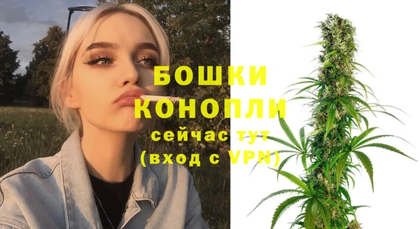 хмурый Кодинск
