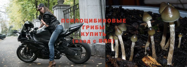МДМА Козельск