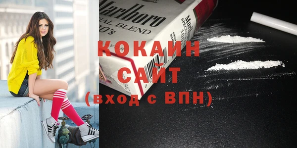 шишки Козловка